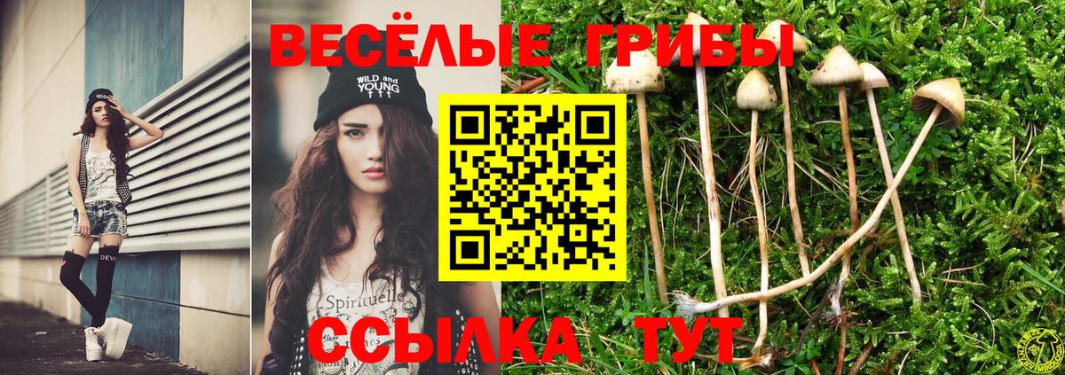 Галлюциногенные грибы мицелий  Вход с VPN  закладка  Галлюциногенные грибы MAGIC MUSHROOMS  Фурманов 