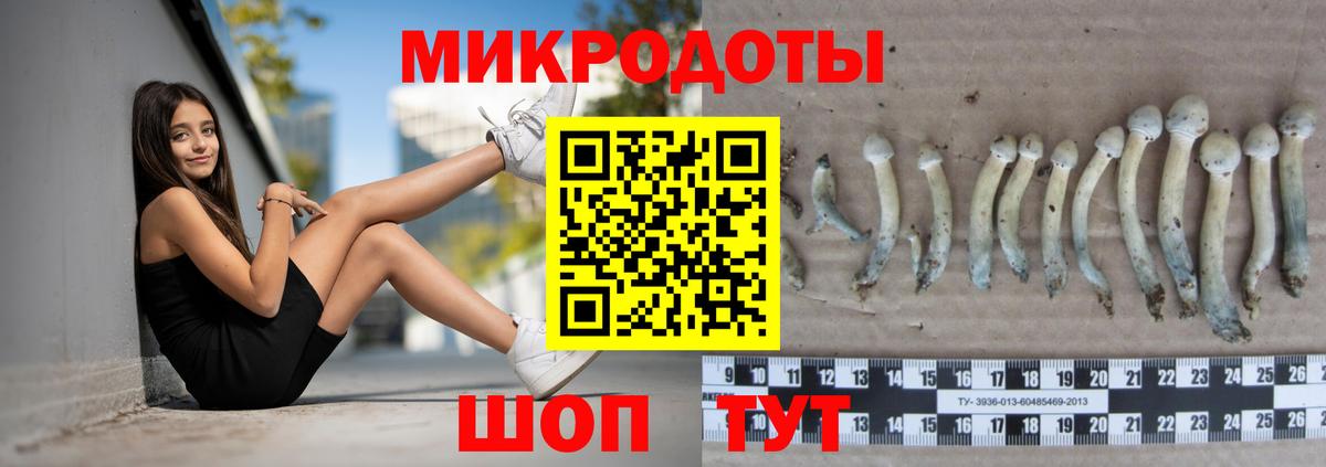 Псилоцибиновые грибы Magic Shrooms Фурманов